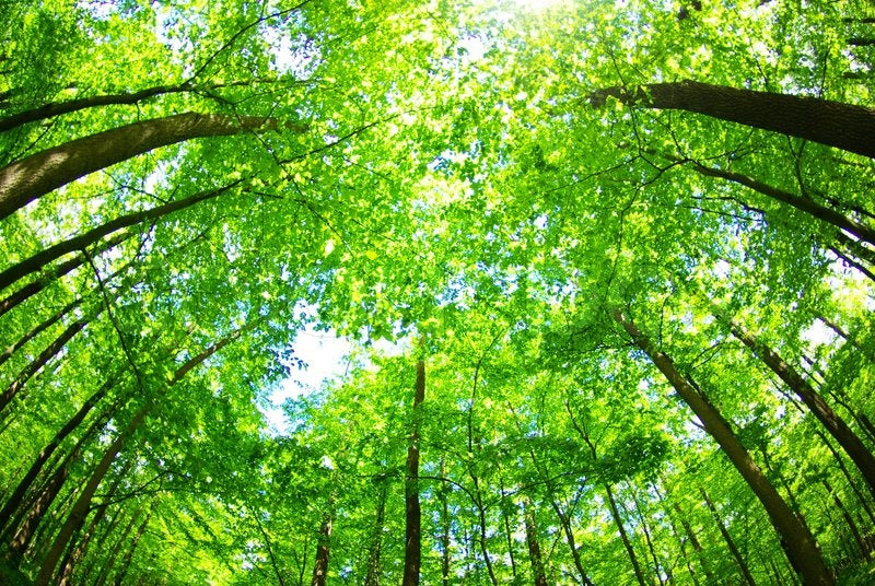 Sustainability